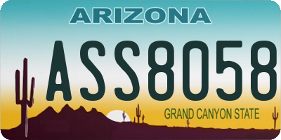 AZ license plate ASS8058