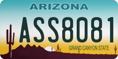 AZ license plate ASS8081