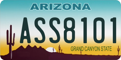 AZ license plate ASS8101