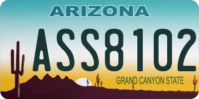 AZ license plate ASS8102
