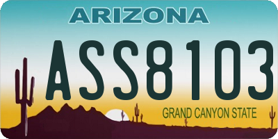 AZ license plate ASS8103