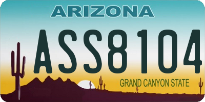 AZ license plate ASS8104