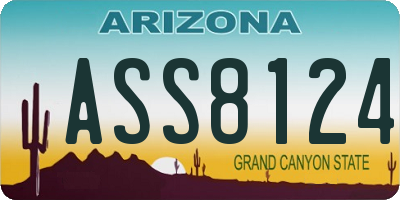 AZ license plate ASS8124