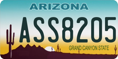 AZ license plate ASS8205