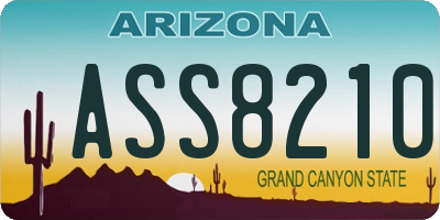 AZ license plate ASS8210