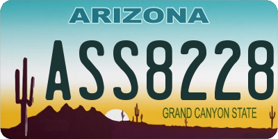 AZ license plate ASS8228