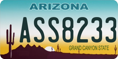 AZ license plate ASS8233