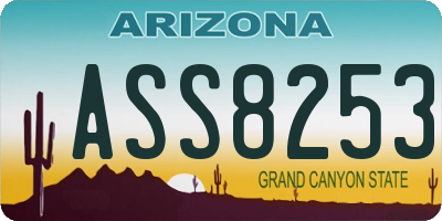 AZ license plate ASS8253