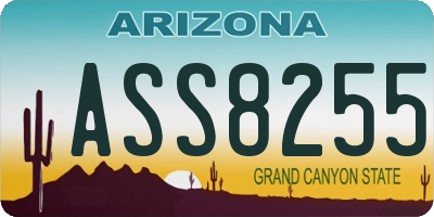 AZ license plate ASS8255
