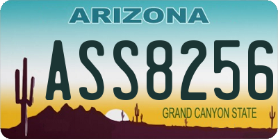 AZ license plate ASS8256