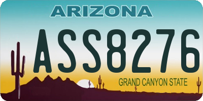 AZ license plate ASS8276