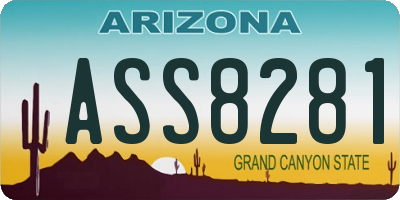AZ license plate ASS8281