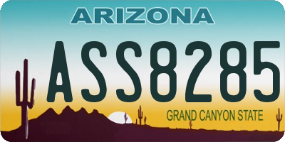 AZ license plate ASS8285