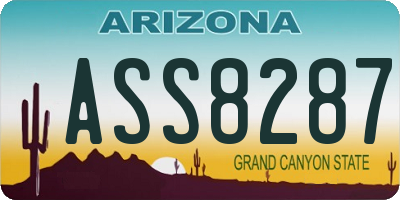 AZ license plate ASS8287