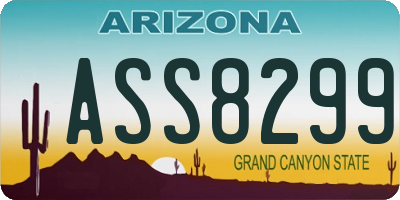 AZ license plate ASS8299