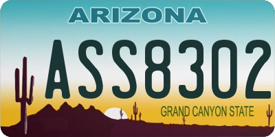 AZ license plate ASS8302