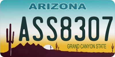 AZ license plate ASS8307