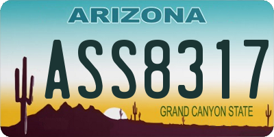 AZ license plate ASS8317