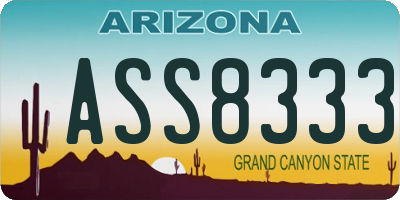 AZ license plate ASS8333