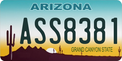 AZ license plate ASS8381