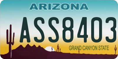 AZ license plate ASS8403