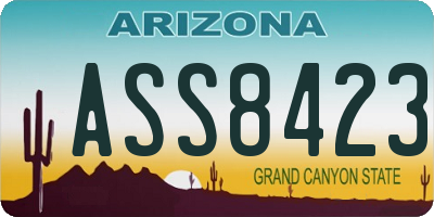 AZ license plate ASS8423