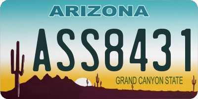 AZ license plate ASS8431