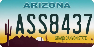 AZ license plate ASS8437