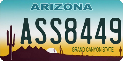 AZ license plate ASS8449