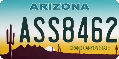 AZ license plate ASS8462