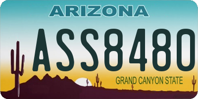AZ license plate ASS8480