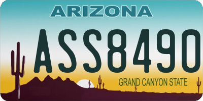 AZ license plate ASS8490