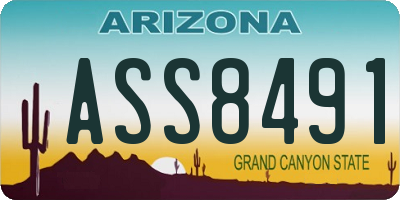AZ license plate ASS8491
