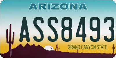 AZ license plate ASS8493
