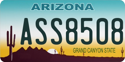 AZ license plate ASS8508