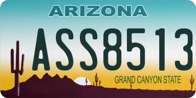 AZ license plate ASS8513
