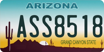 AZ license plate ASS8518