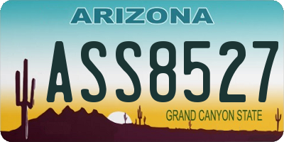 AZ license plate ASS8527