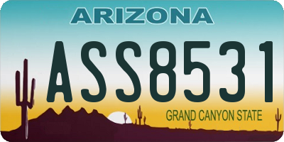 AZ license plate ASS8531