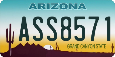 AZ license plate ASS8571