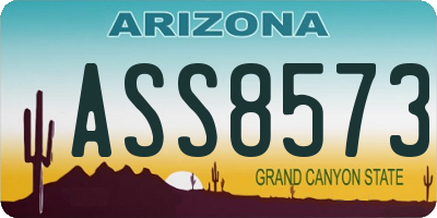 AZ license plate ASS8573