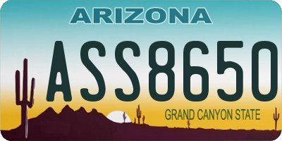 AZ license plate ASS8650