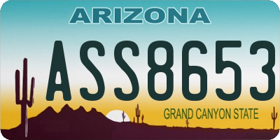 AZ license plate ASS8653