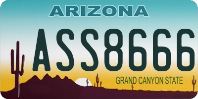 AZ license plate ASS8666