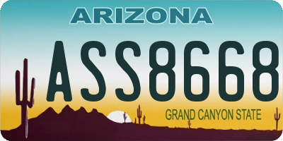 AZ license plate ASS8668