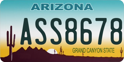AZ license plate ASS8678