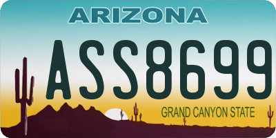 AZ license plate ASS8699