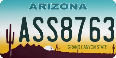 AZ license plate ASS8763