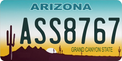 AZ license plate ASS8767