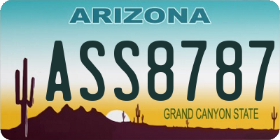 AZ license plate ASS8787